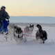 Illustration for article titled Russian Soldiers Go Native For Arctic Ops Using Reindeer And Dogsleds